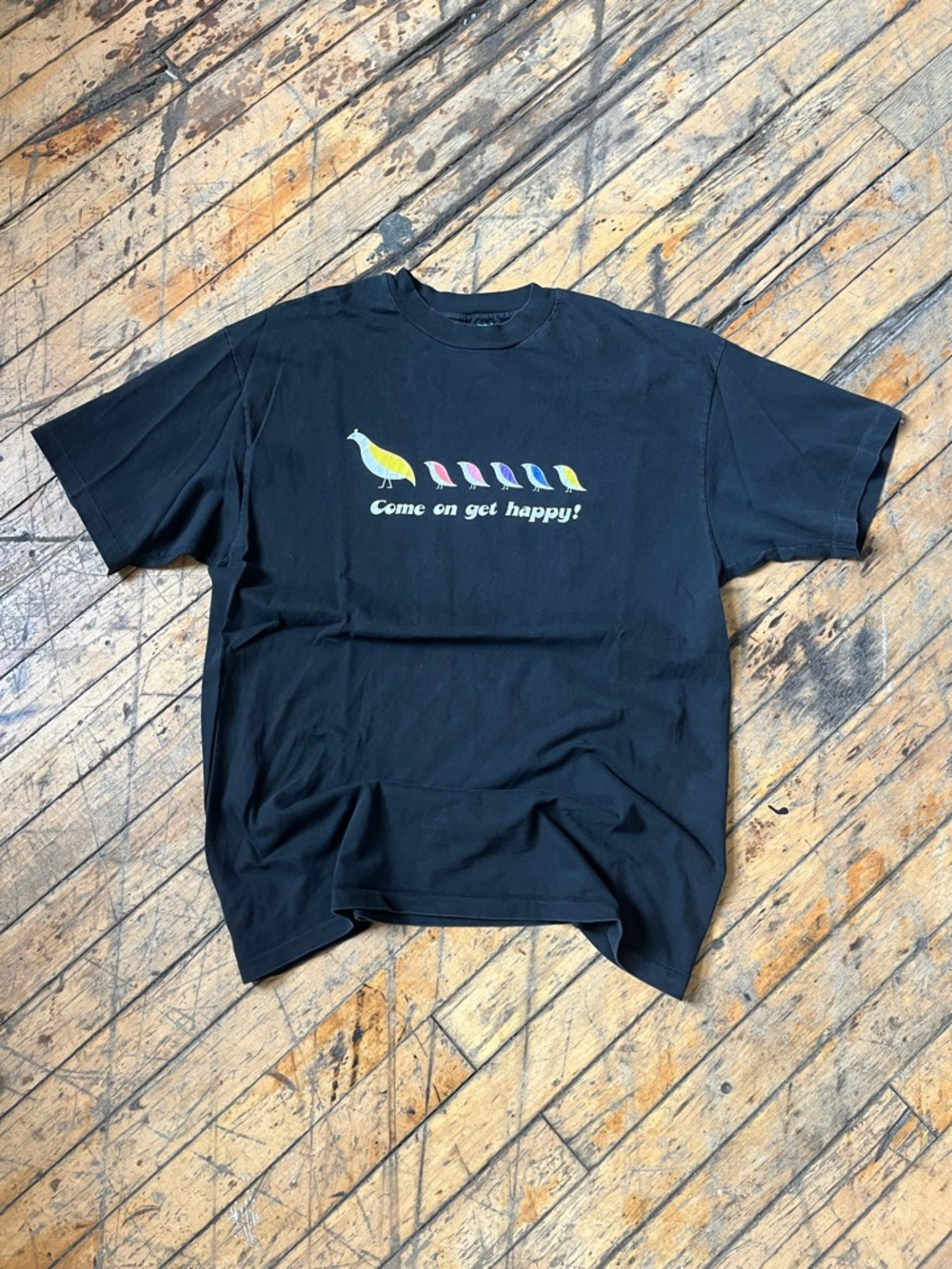 1993 vintage Hanes Black Graphic Tee with Colorful Bird Accents